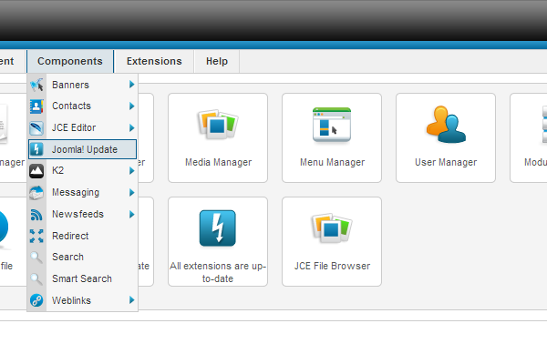 go to joomla update
